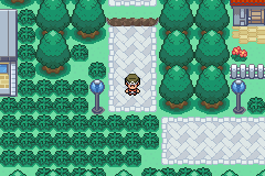 Imagen de Pokémon Chileno