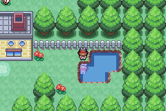 Imagen de Pokémon Clover