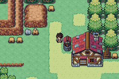 Imagen de Pokémon Crown