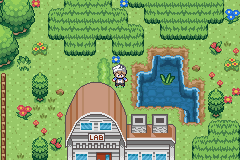 Imagen de Pokémon Drab Conspiracy