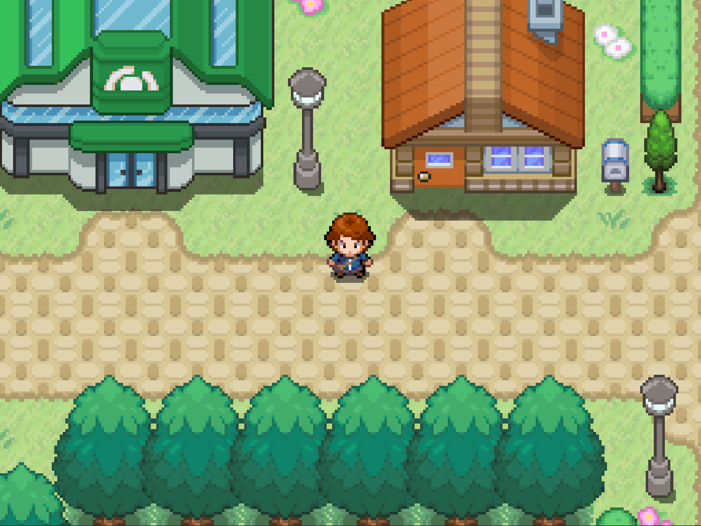 Imagen de Pokémon Dusk