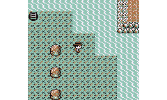 Imagen de Pokémon Factory Adventure