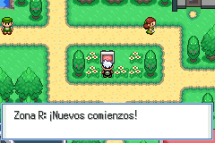 Imagen de Pokémon Flora Sky Rebirth