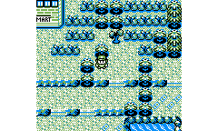 Imagen de Pokémon Grape