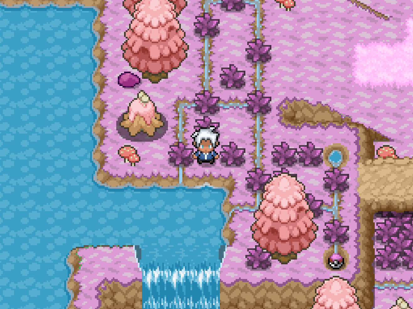 Imagen de Pokémon Hero