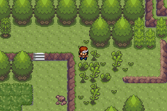 Imagen de Pokémon Heroes