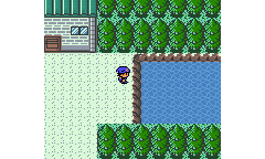 Imagen de Pokémon Ice Silver