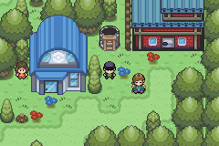 Imagen de Pokémon Inmortal