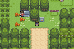 Imagen de Pokémon Light Platinum