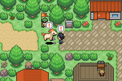 Imagen de Pokémon LionHeart