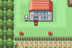 Imagen de Pokémon Memories