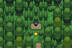 Imagen de Pokémon Mystery 9