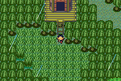 Imagen de Pokémon Quartz