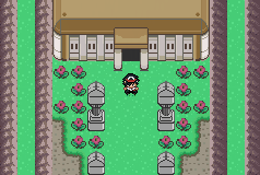 Imagen de Pokémon Resolute