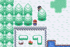 Imagen de Pokémon Vega